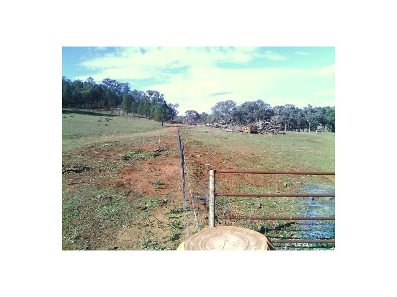 Gilgandra NSW 2827