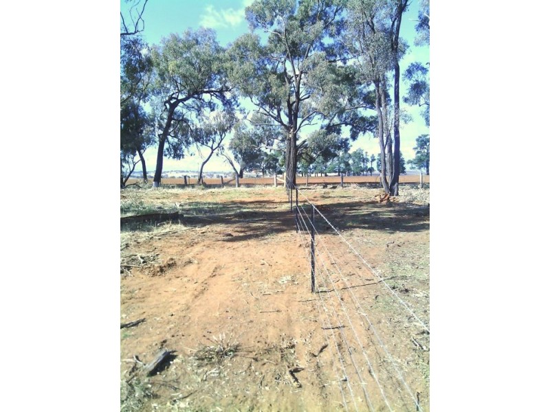 Gilgandra NSW 2827