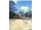 Gilgandra NSW 2827