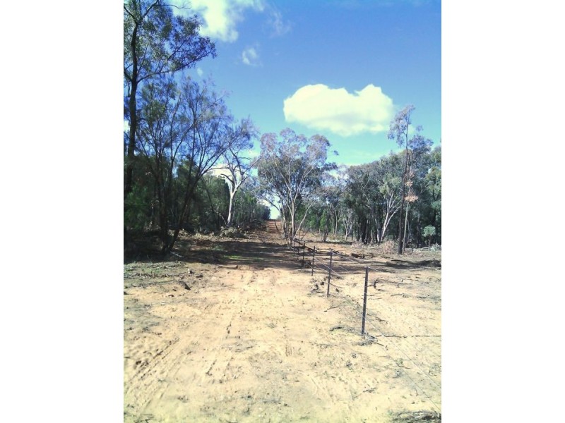 Gilgandra NSW 2827
