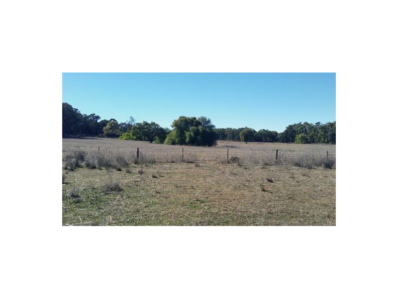 Gilgandra NSW 2827