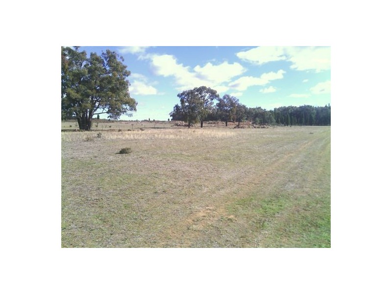 Gilgandra NSW 2827