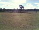 Gilgandra NSW 2827