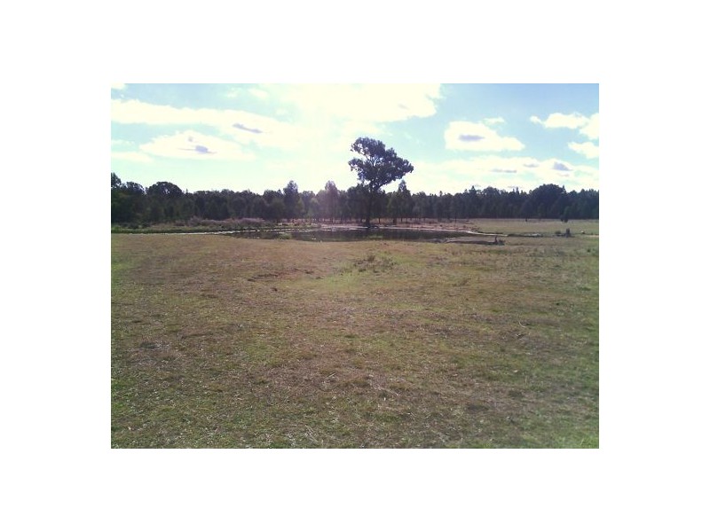 Gilgandra NSW 2827