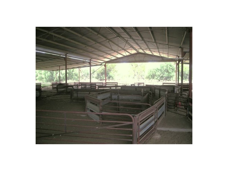 Burdekin, Collarenebri NSW 2833