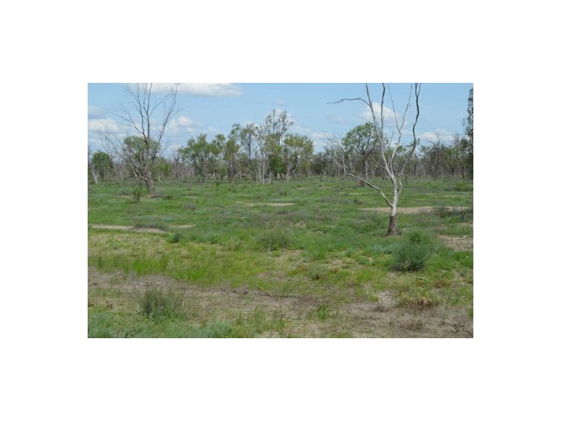 Burdekin, Collarenebri NSW 2833