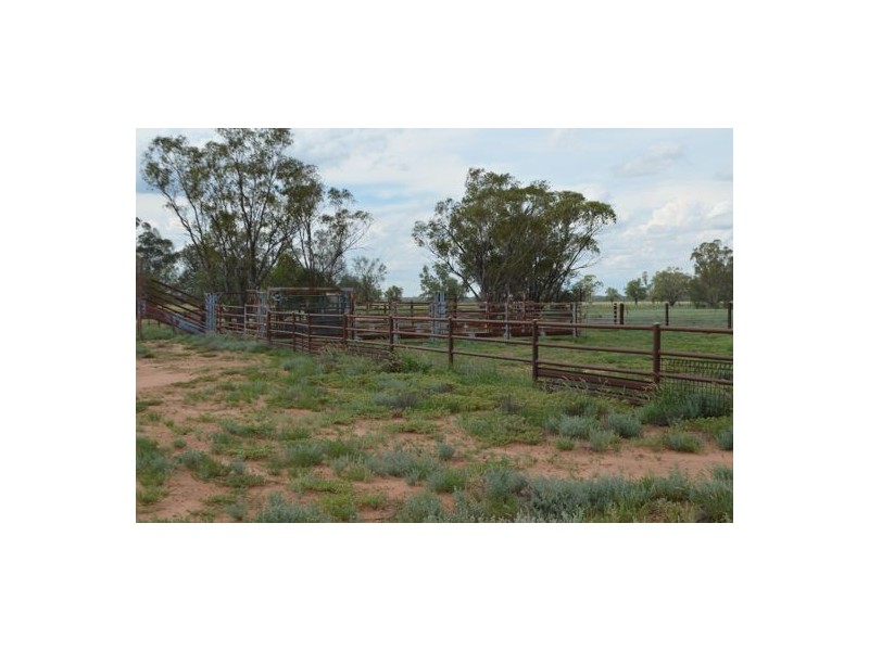 Burdekin, Collarenebri NSW 2833