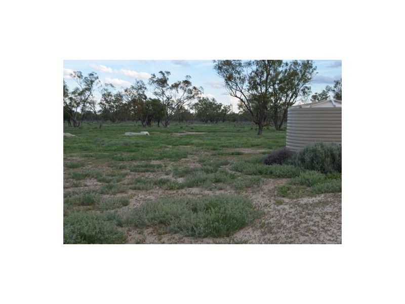 Burdekin, Collarenebri NSW 2833