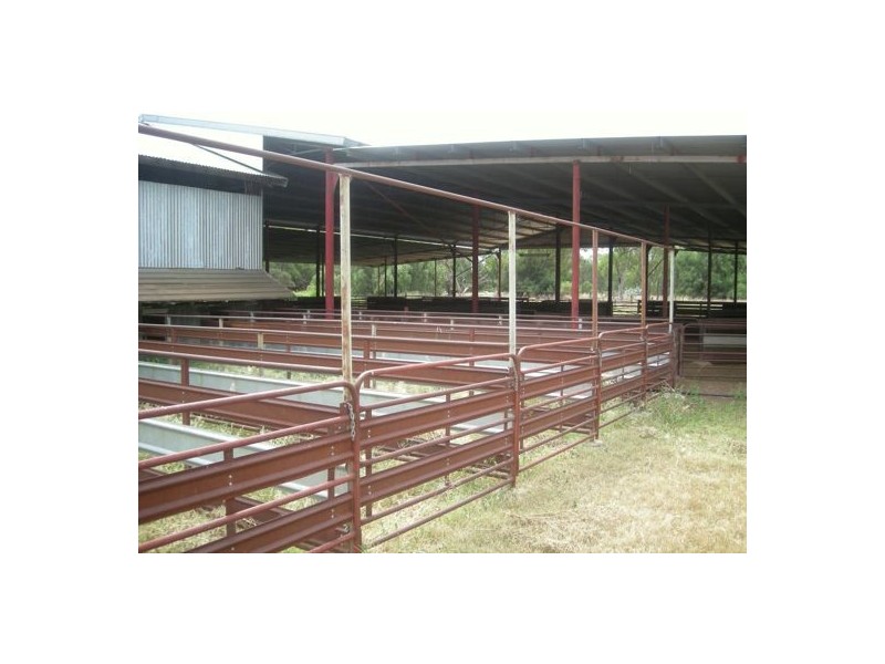 Burdekin, Collarenebri NSW 2833