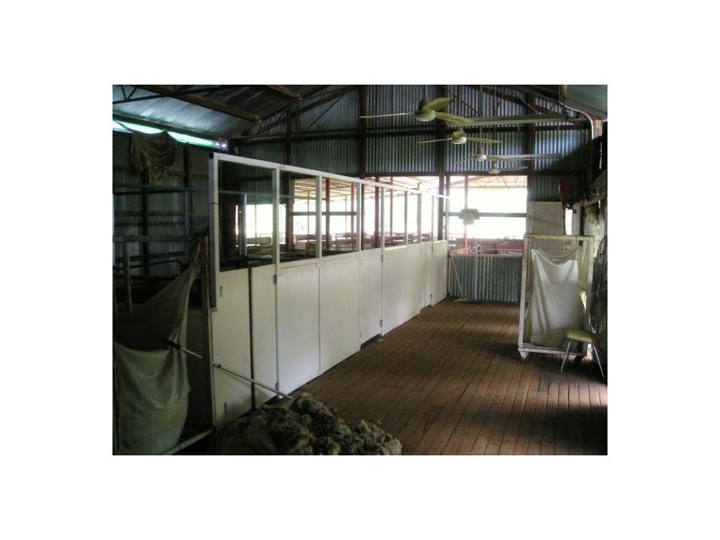 Burdekin, Collarenebri NSW 2833