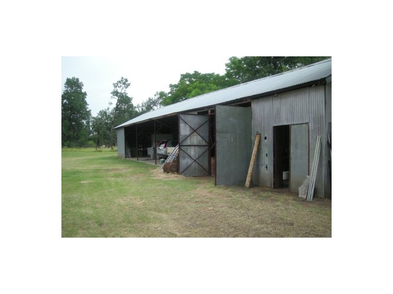 Burdekin, Collarenebri NSW 2833