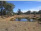 1 Nyngan Street, Tottenham NSW 2873