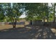 184 Lower Miller Street, Gilgandra NSW 2827