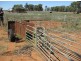 Tottenham NSW 2873