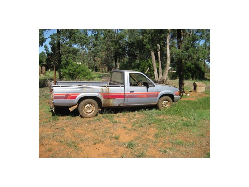 Tottenham NSW 2873