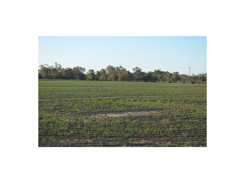 Brewarrina NSW 2839