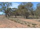 Dubbo NSW 2830