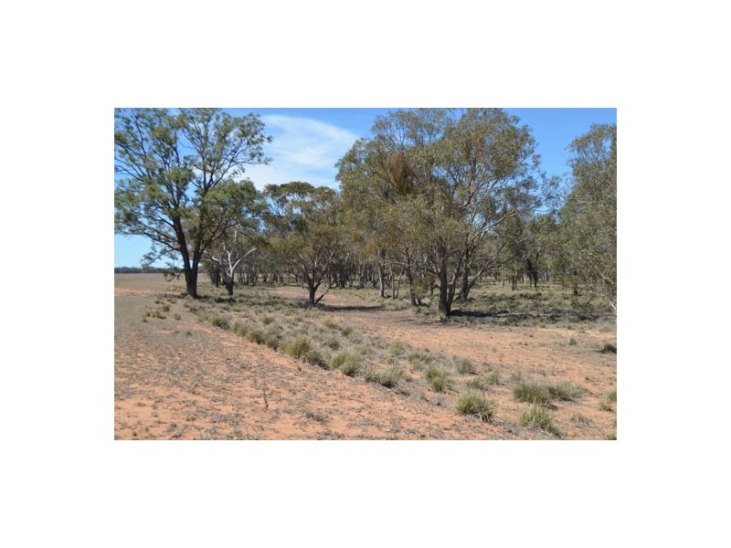 Dubbo NSW 2830