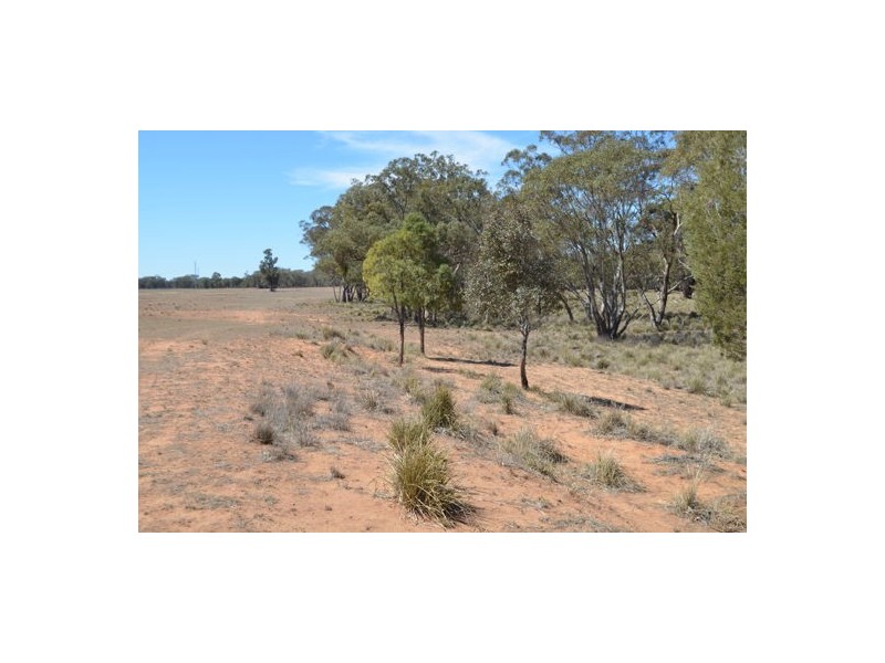 Dubbo NSW 2830
