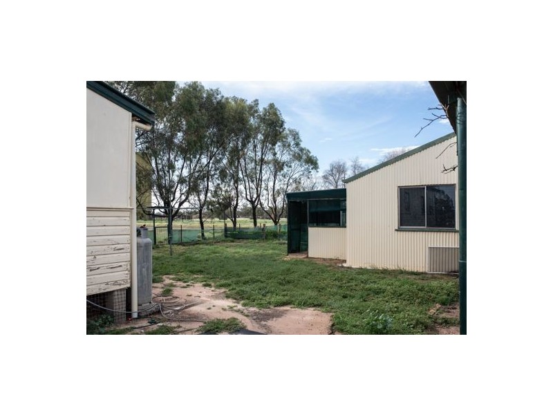 Nevertire NSW 2831
