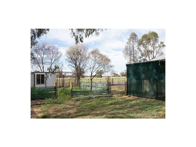 Nevertire NSW 2831