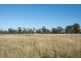 Eumungerie NSW 2831