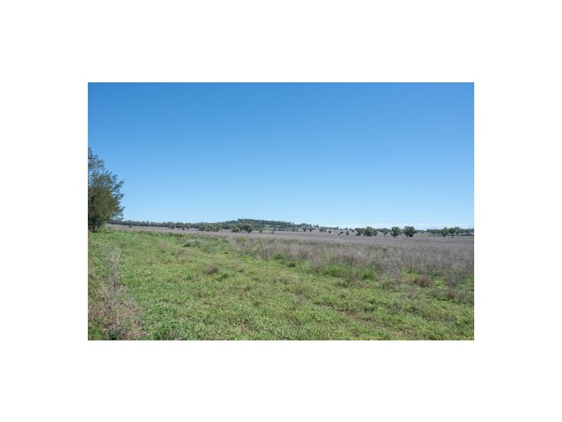 Maryvale NSW 2820