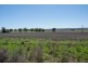 Maryvale NSW 2820