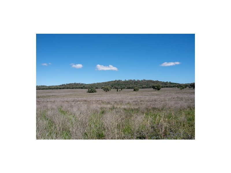 Maryvale NSW 2820