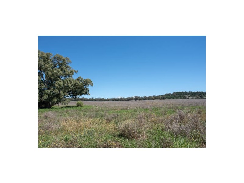 Maryvale NSW 2820