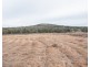 Geurie NSW 2831