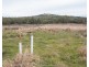 Geurie NSW 2831