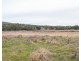 Geurie NSW 2831