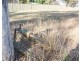 28 Farnell Street, Mendooran NSW 2842