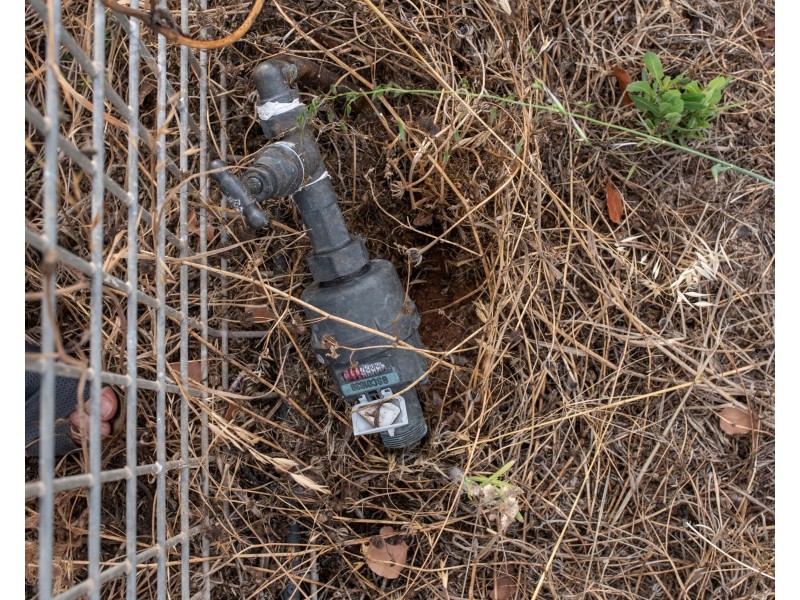 2 Wrigley Street, Gilgandra NSW 2827