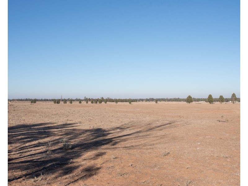 Gilgandra NSW 2827