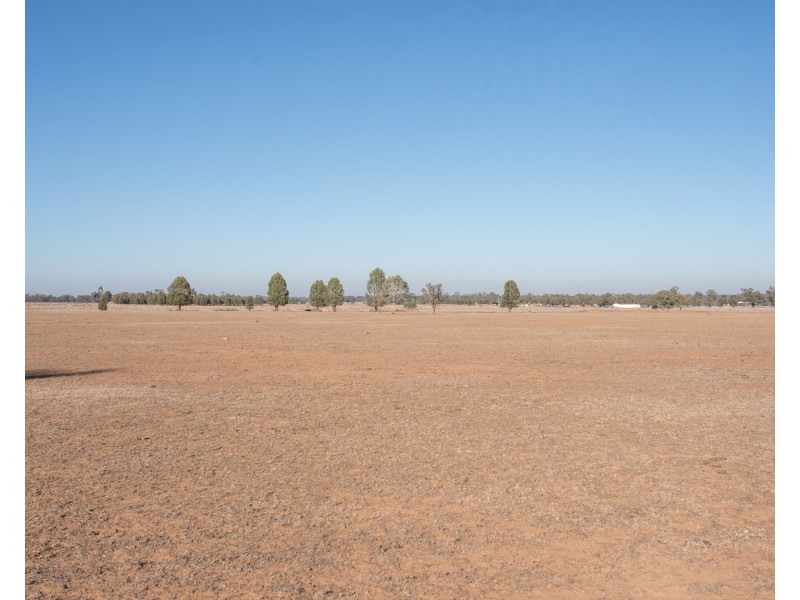 Gilgandra NSW 2827