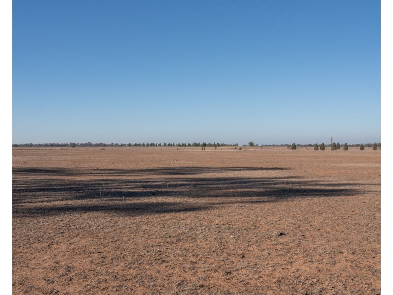 Gilgandra NSW 2827