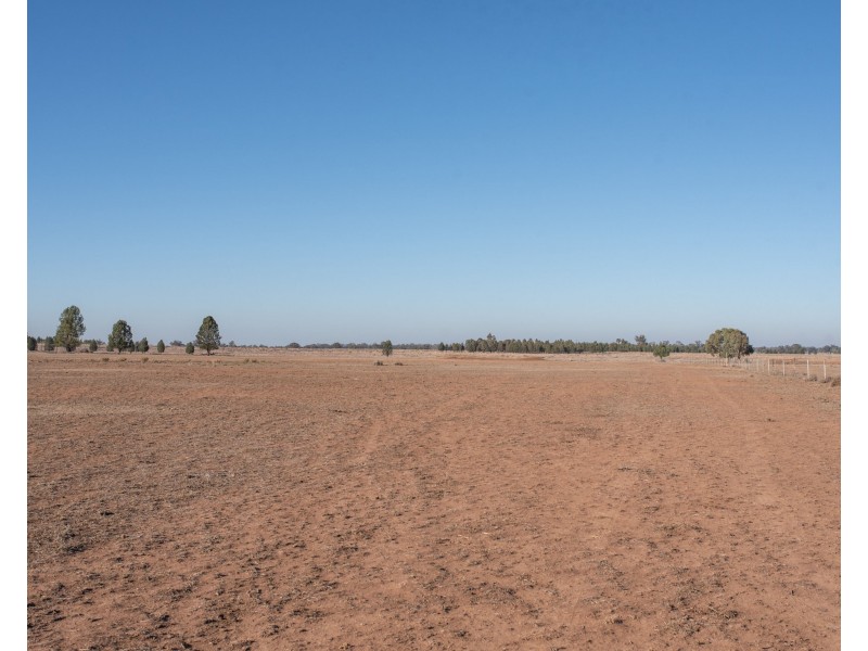 Gilgandra NSW 2827