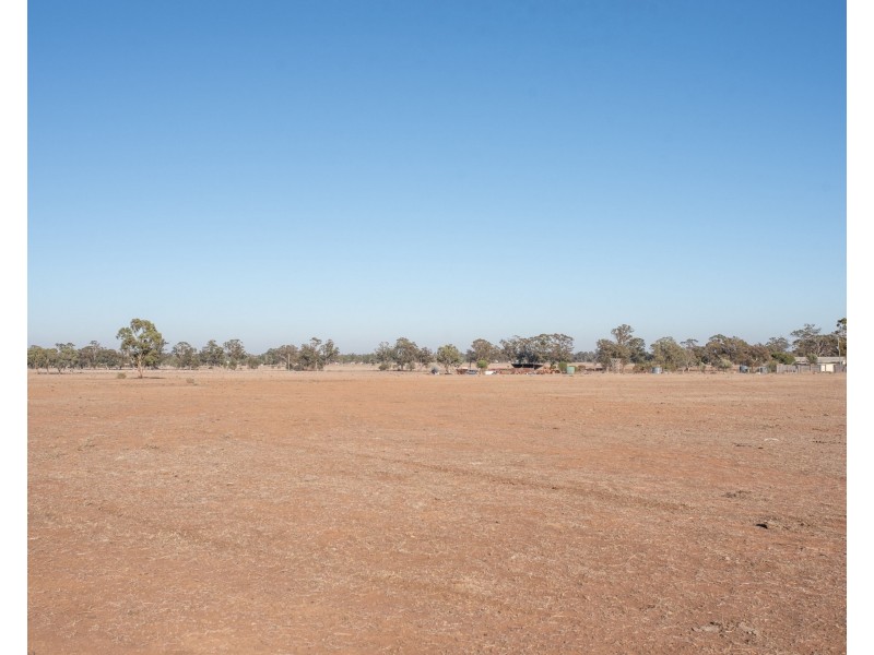 Gilgandra NSW 2827