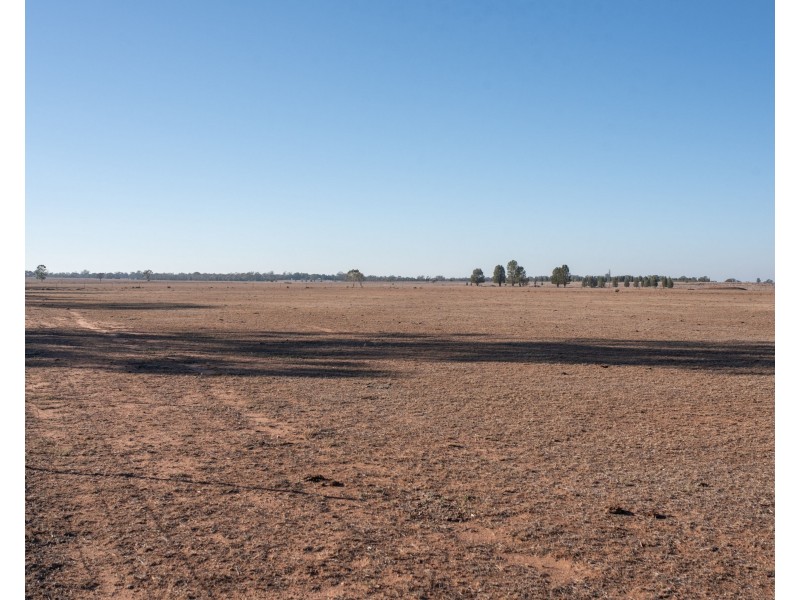 Gilgandra NSW 2827