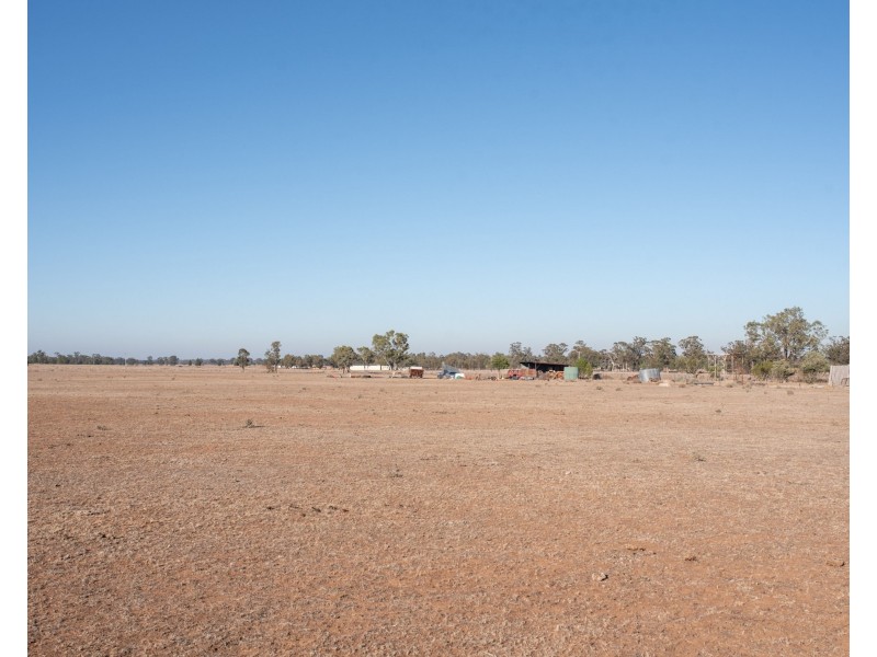 Gilgandra NSW 2827