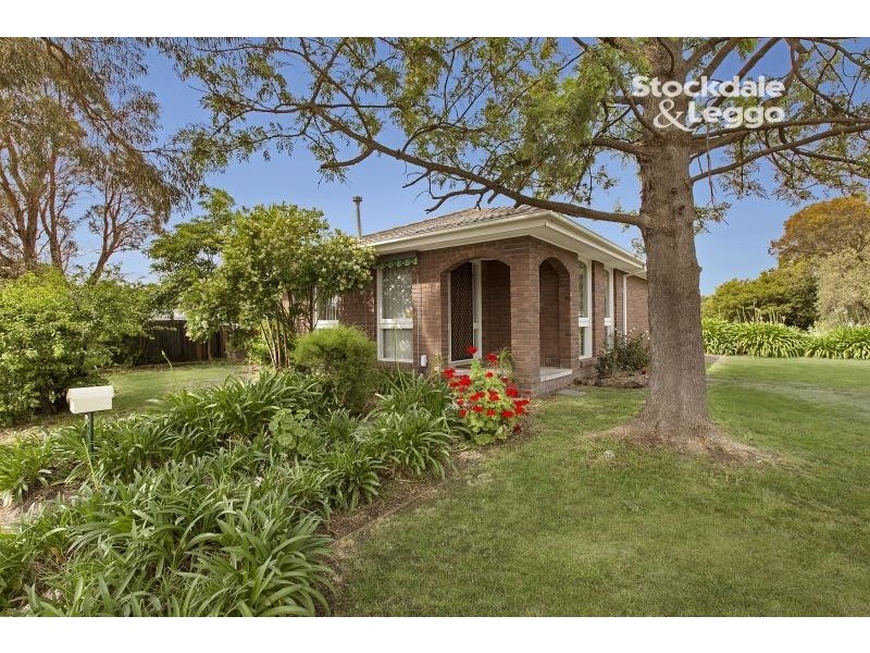 81 Fountain Drive, Narre Warren VIC 3805