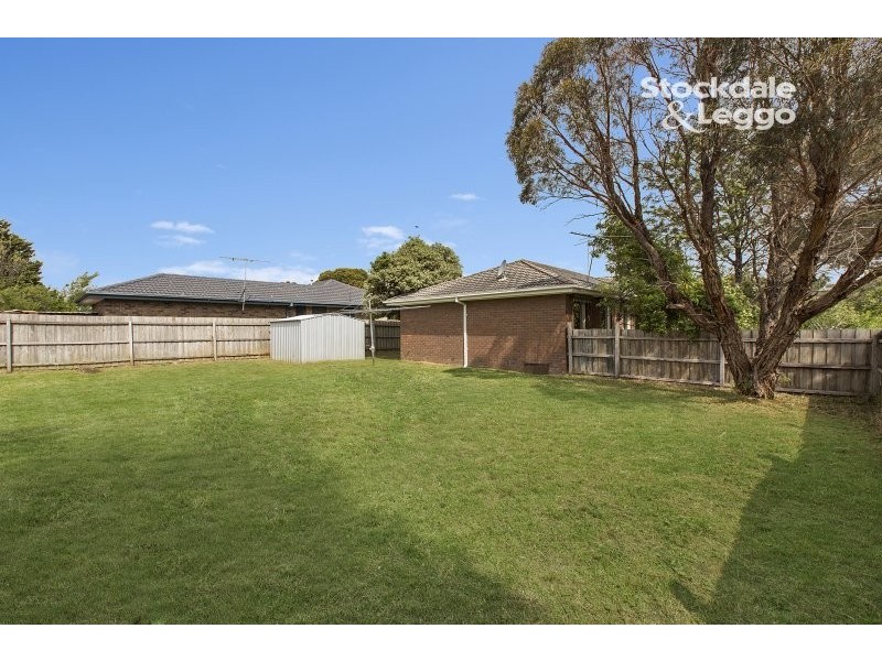 81 Fountain Drive, Narre Warren VIC 3805