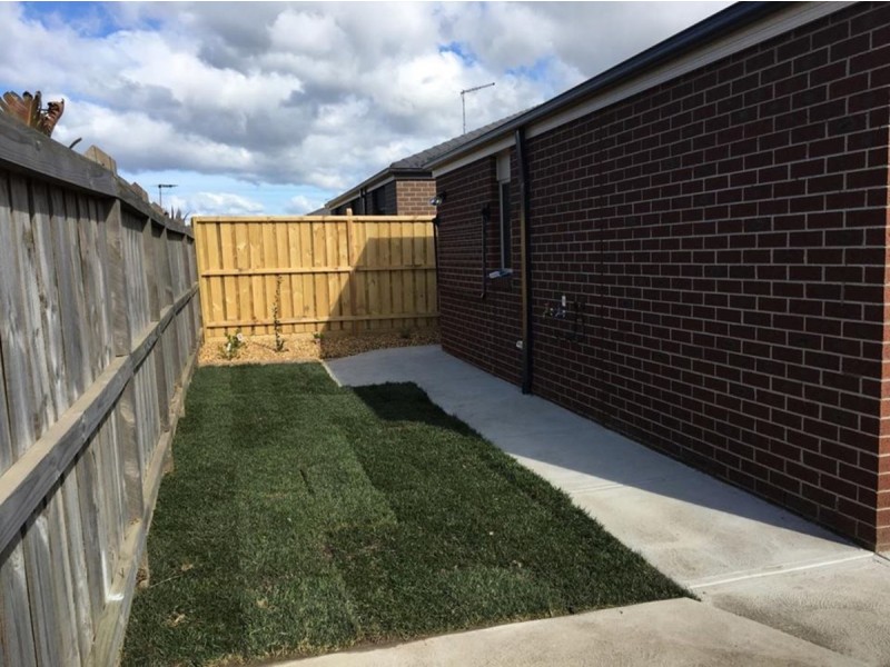 19 Nolan Crescent, Officer VIC 3809