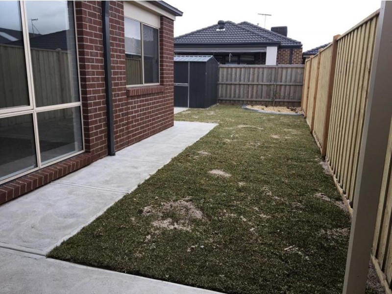 24 Heathecote Grove, Officer VIC 3809