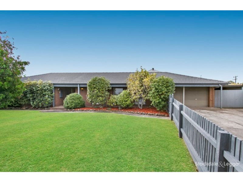 5 Dianella Court, Narre Warren VIC 3805