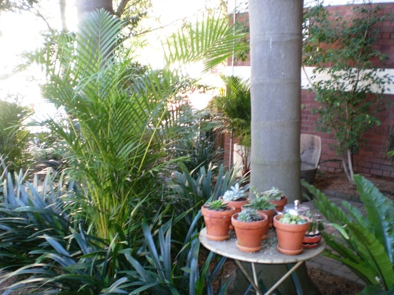 3/280 Liverpool, Darlinghurst NSW 2010