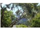 12/230 William Street, Woolloomooloo NSW 2011