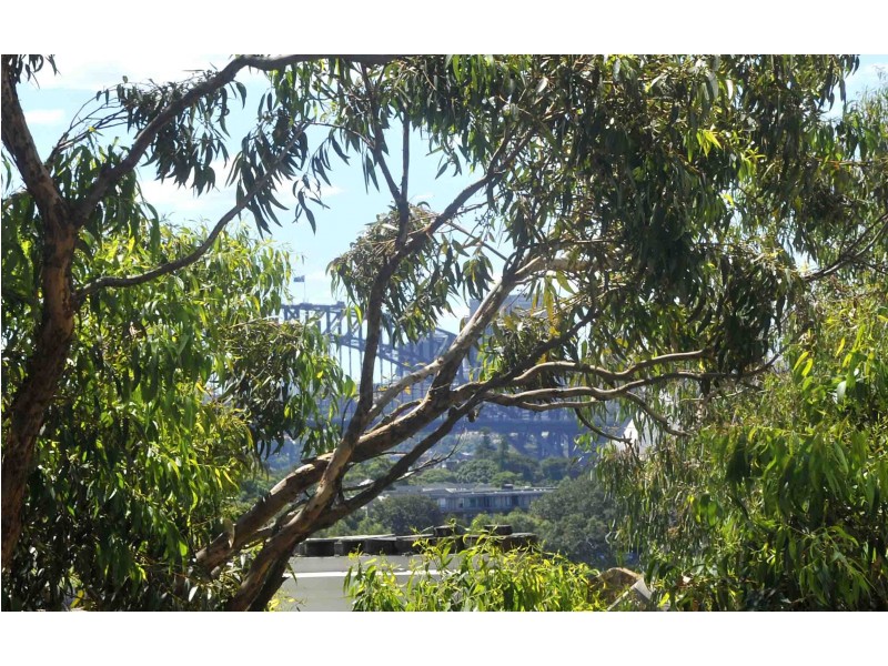 12/230 William Street, Woolloomooloo NSW 2011